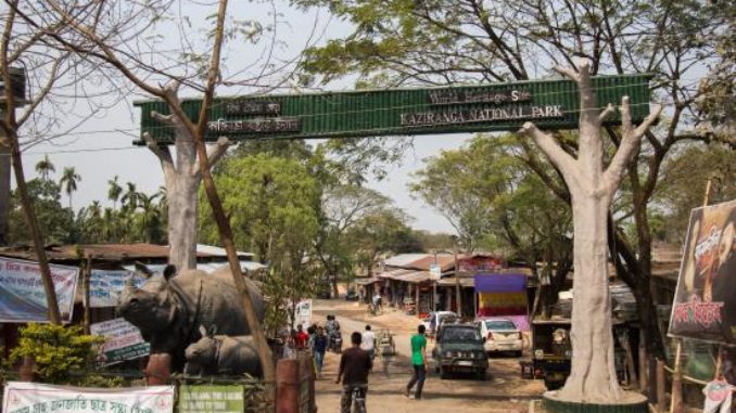 Kaziranga Kaziranga