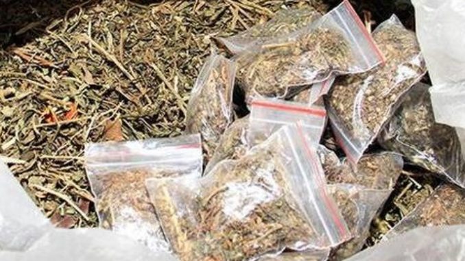 GANJA Representative image.