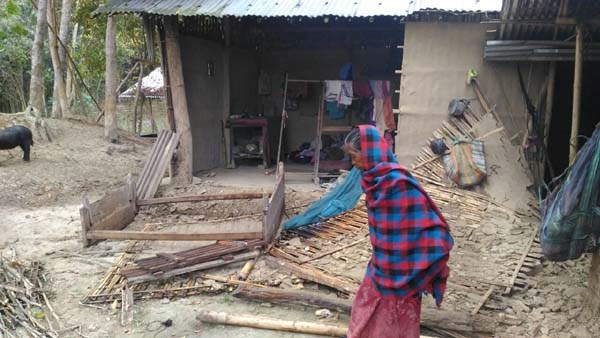 elephant attack in diphu