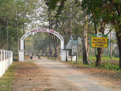 manas-national-park