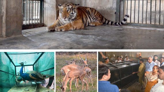 Assam State Zoo Assam State Zoo
