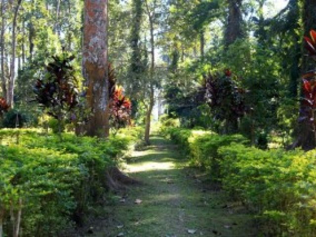 Jokai botanical garden