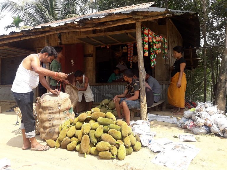 Tripura Village Famous For Producing Vegetables And Fruits