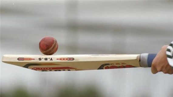 Cricket 2 Representative image.