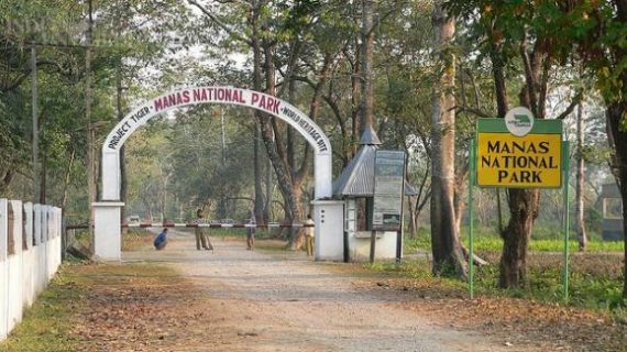 Manas National Park Manas National Park