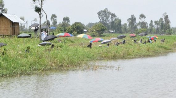 angling angling