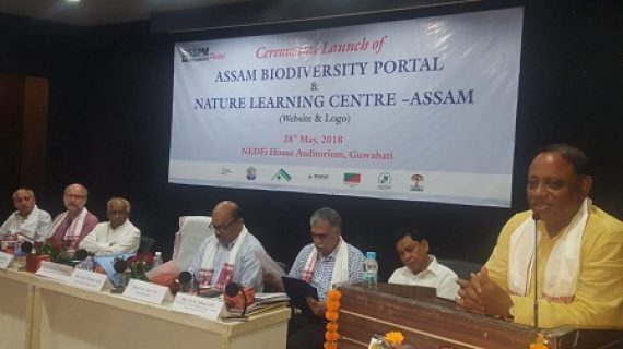 biodiversity portal