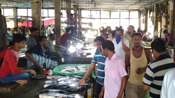 Imported fish Imported fish