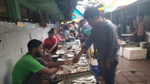 Fish marke Fish market