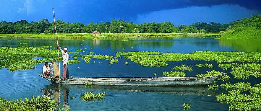 MAJULI MAJULI
