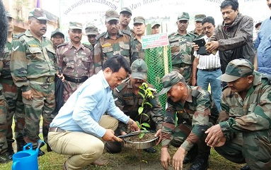 Tree plantation