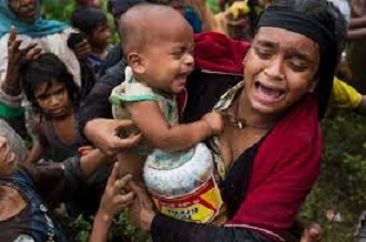 rohingya crisis