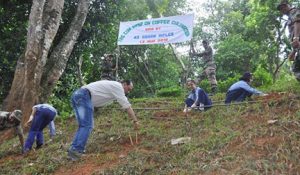 Plantation drive