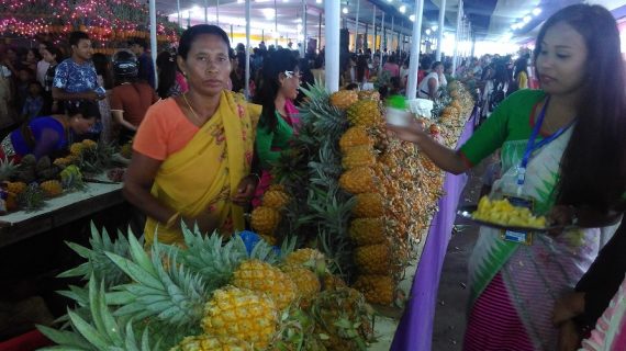 manipur pineapple new manipur pineapple new