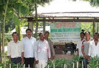 small tea growers