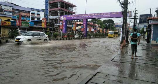 zooroad flood