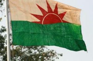 Ulfa_Flag-300x198
