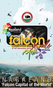 falcon fest