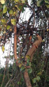 Watch tower-