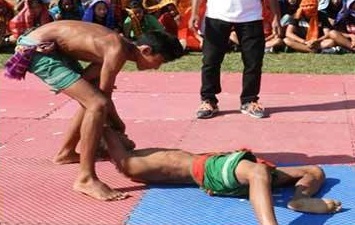 bodo wrestling