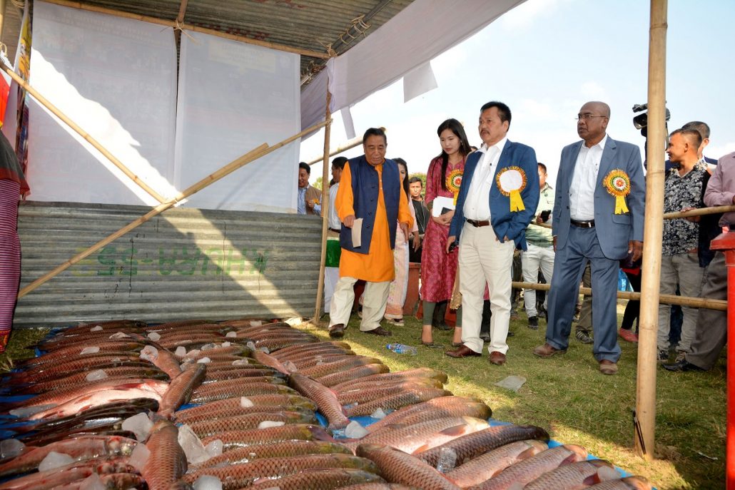 fish fair manipur