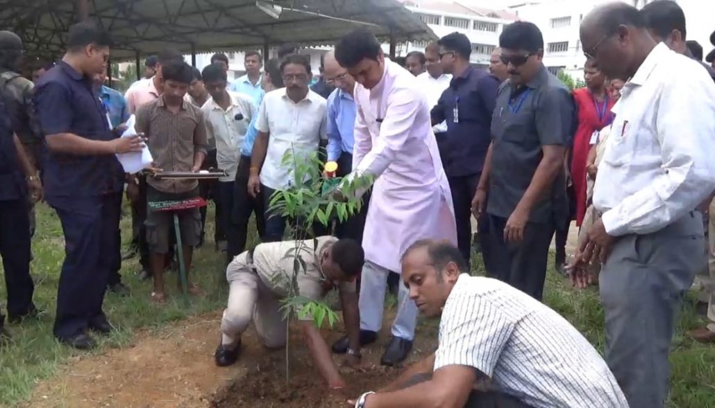 Bamboo can change state economy, says Tripura CM 1