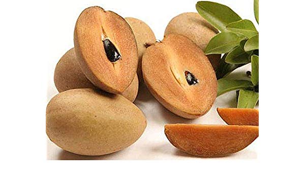 benefit of chikoo fruit