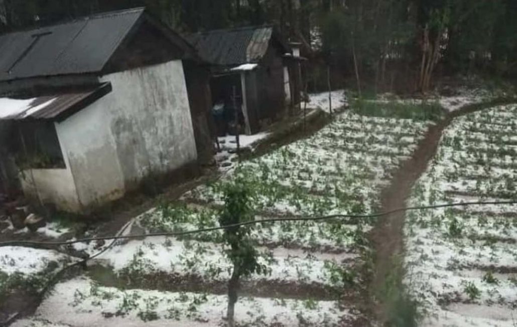 Hailstorm at Lailynkot, 50 km from Shillong