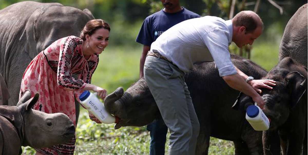 Duke and Duchess of Cambridge