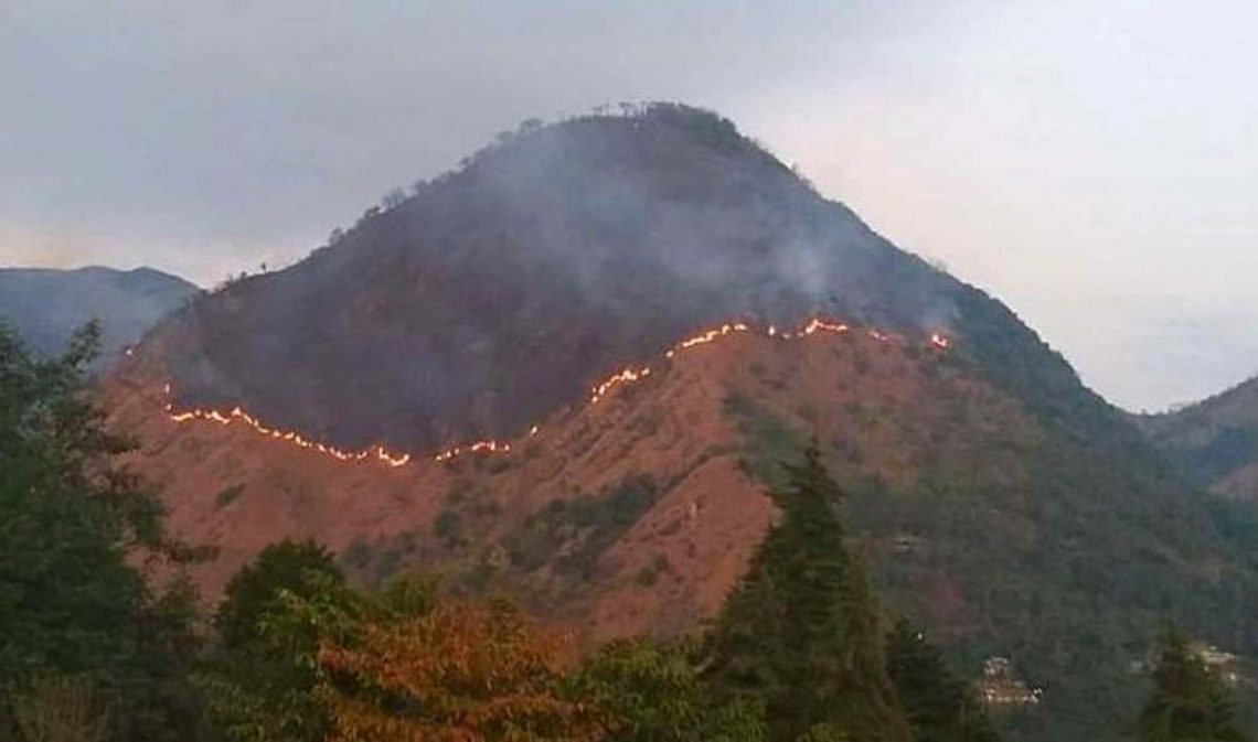 Dzukou Valley wildfire: Nagaland CM Neiphiu Rio calls for proper plans ...