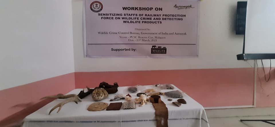 Wildlife crime