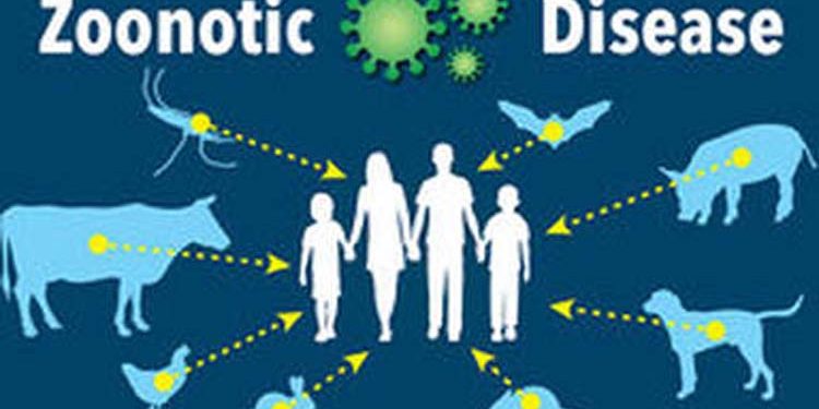 Role Of Companion Animals In Transmitting Zoonotic Diseases