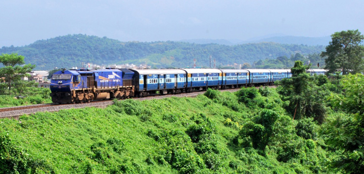 Assam: mowed train