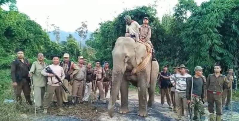 Assam PCCF microchips captive elephants