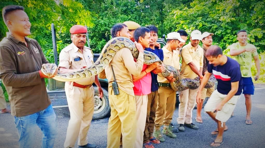 Assam Baksa Python