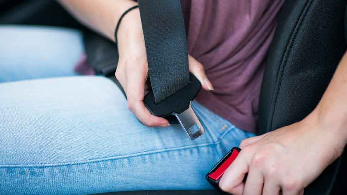 Seatbelts for all passengers in car to be mandatory: Nitin Gadkari