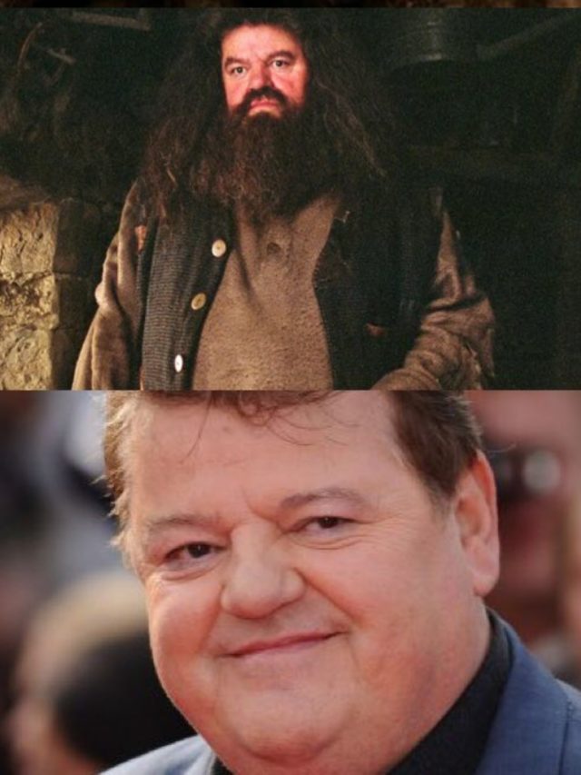 Iconic traits of Hagrid that have deeply touched us - NORTHEAST NOW