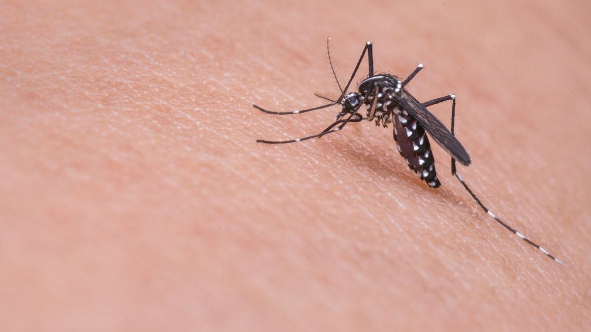 Assam Japanese Encephalitis Agartala: Tripura CPIM MLAs Ramu Das, Sudip Sarkar, and Nayan Sarkar have written a letter to Tripura Chief Minister Manik Saha to address the escalating dengue outbreak in Agartala.