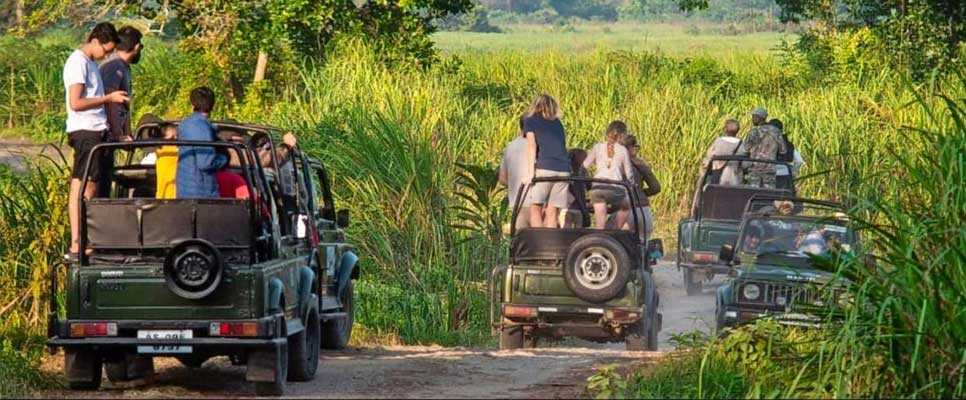 Assam Kaziranga