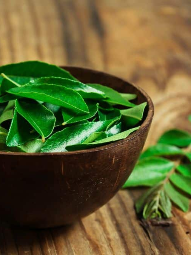 Surprising Health Benefits of Curry Leaves - NORTHEAST NOW