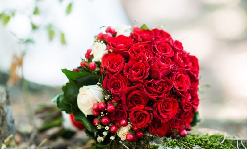 Beyond bouquets 7 stylish ways to celebrate Rose Day