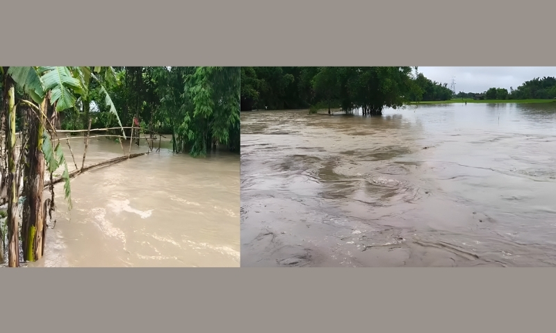 Flash flood in Singra River breaches bank, submerges villages in Assam's Lakhimpur