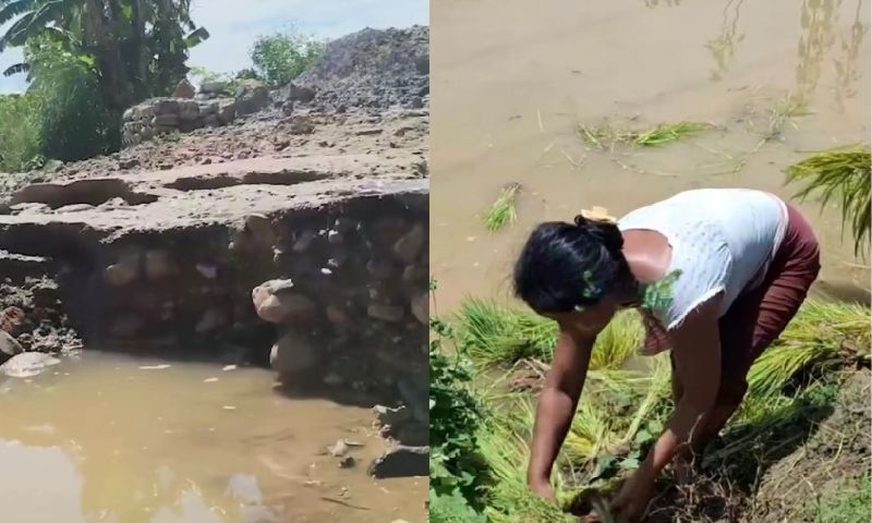Assam: Sesa river flash flood damages roads, inundates villages in Lakhimpur