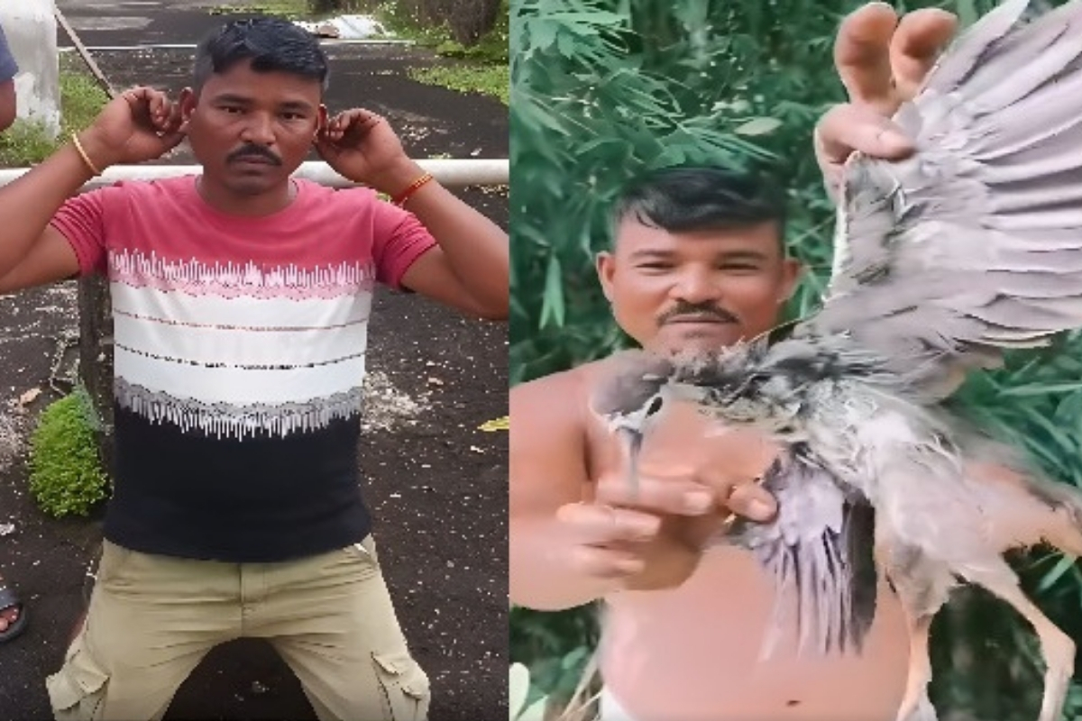 Assam: Man detained for allegedly eating wild bird alive and posting video