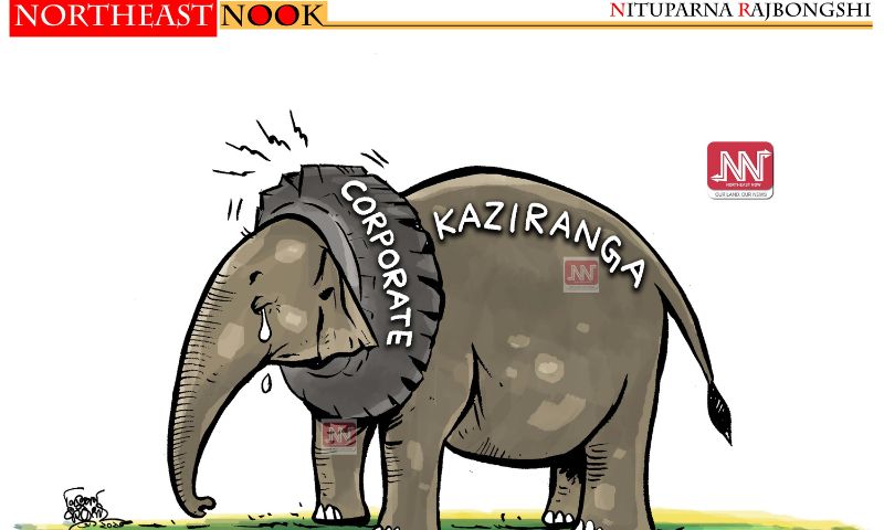 Northeast Nook: Cartoon by Nituparna Rajbongshi, September 13, 2026