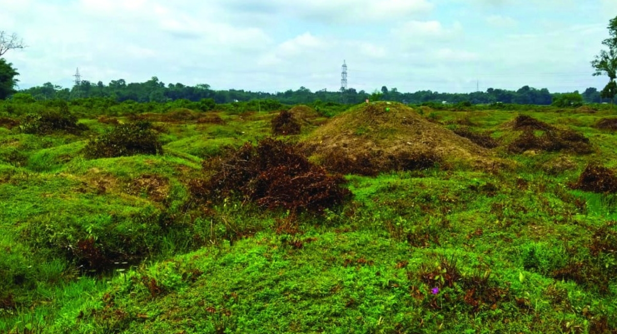 Bhojo's forgotten battlefield: Assam's Ahom military heritage under threat